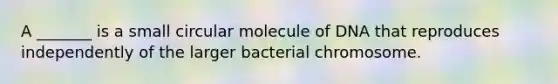 A _______ is a small circular molecule of DNA that reproduces independently of the larger bacterial chromosome.