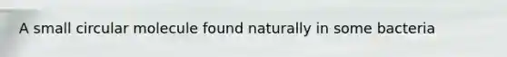 A small circular molecule found naturally in some bacteria