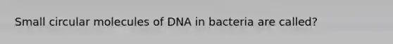 Small circular molecules of DNA in bacteria are called?