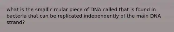 what is the small circular piece of DNA called that is found in bacteria that can be replicated independently of the main DNA strand?