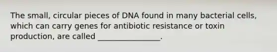 The small, circular pieces of DNA found in many bacterial cells, which can carry genes for antibiotic resistance or toxin production, are called ________________.