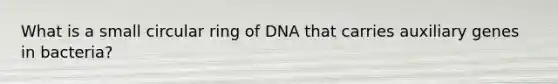 What is a small circular ring of DNA that carries auxiliary genes in bacteria?