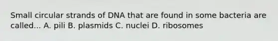 Small circular strands of DNA that are found in some bacteria are called... A. pili B. plasmids C. nuclei D. ribosomes