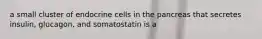 a small cluster of endocrine cells in the pancreas that secretes insulin, glucagon, and somatostatin is a