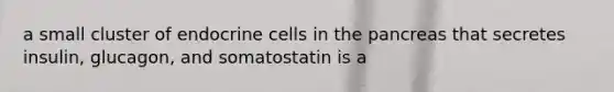 a small cluster of endocrine cells in <a href='https://www.questionai.com/knowledge/kITHRba4Cd-the-pancreas' class='anchor-knowledge'>the pancreas</a> that secretes insulin, glucagon, and somatostatin is a