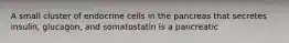 A small cluster of endocrine cells in the pancreas that secretes insulin, glucagon, and somatostatin is a pancreatic