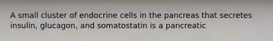 A small cluster of endocrine cells in the pancreas that secretes insulin, glucagon, and somatostatin is a pancreatic