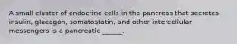 A small cluster of endocrine cells in the pancreas that secretes insulin, glucagon, somatostatin, and other intercellular messengers is a pancreatic ______.