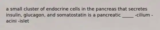 a small cluster of endocrine cells in the pancreas that secretes insulin, glucagon, and somatostatin is a pancreatic _____ -cilium -acini -islet