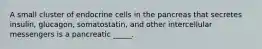 A small cluster of endocrine cells in the pancreas that secretes insulin, glucagon, somatostatin, and other intercellular messengers is a pancreatic _____.