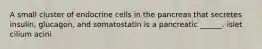 A small cluster of endocrine cells in the pancreas that secretes insulin, glucagon, and somatostatin is a pancreatic ______. islet cilium acini