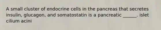 A small cluster of endocrine cells in <a href='https://www.questionai.com/knowledge/kITHRba4Cd-the-pancreas' class='anchor-knowledge'>the pancreas</a> that secretes insulin, glucagon, and somatostatin is a pancreatic ______. islet cilium acini