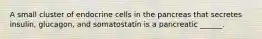 A small cluster of endocrine cells in the pancreas that secretes insulin, glucagon, and somatostatin is a pancreatic ______.