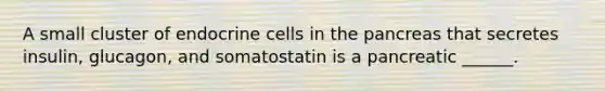 A small cluster of endocrine cells in the pancreas that secretes insulin, glucagon, and somatostatin is a pancreatic ______.