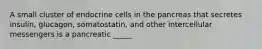 A small cluster of endocrine cells in the pancreas that secretes insulin, glucagon, somatostatin, and other intercellular messengers is a pancreatic _____