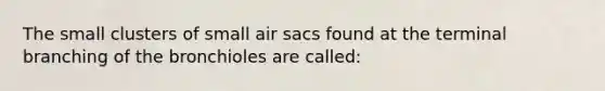 The small clusters of small air sacs found at the terminal branching of the bronchioles are called: