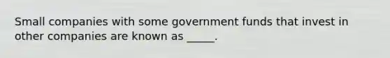 Small companies with some government funds that invest in other companies are known as _____.