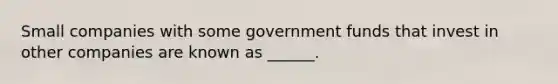 Small companies with some government funds that invest in other companies are known as ______.