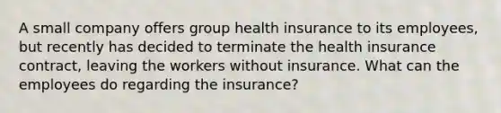 A small company offers group health insurance to its employees, but recently has decided to terminate the health insurance contract, leaving the workers without insurance. What can the employees do regarding the insurance?