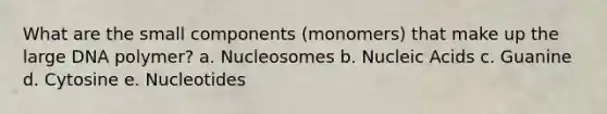 What are the small components (monomers) that make up the large DNA polymer? a. Nucleosomes b. Nucleic Acids c. Guanine d. Cytosine e. Nucleotides