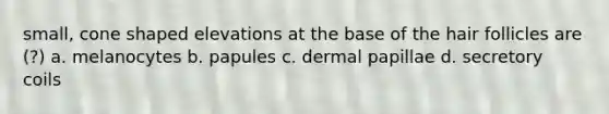 small, cone shaped elevations at the base of the hair follicles are (?) a. melanocytes b. papules c. dermal papillae d. secretory coils