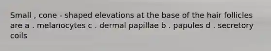 Small , cone - shaped elevations at the base of the hair follicles are a . melanocytes c . dermal papillae b . papules d . secretory coils