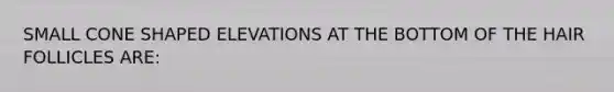 SMALL CONE SHAPED ELEVATIONS AT THE BOTTOM OF THE HAIR FOLLICLES ARE: