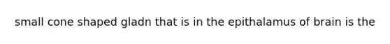 small cone shaped gladn that is in the epithalamus of brain is the