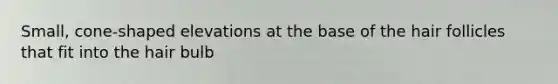 Small, cone-shaped elevations at the base of the hair follicles that fit into the hair bulb
