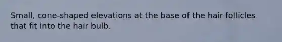 Small, cone-shaped elevations at the base of the hair follicles that fit into the hair bulb.
