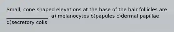 Small, cone-shaped elevations at the base of the hair follicles are _________________. a) melanocytes b)papules c)dermal papillae d)secretory coils