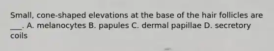 Small, cone-shaped elevations at the base of the hair follicles are ___. A. melanocytes B. papules C. dermal papillae D. secretory coils