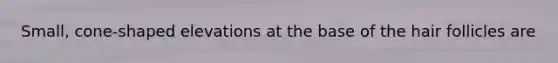Small, cone-shaped elevations at the base of the hair follicles are
