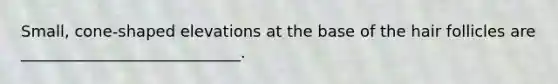Small, cone-shaped elevations at the base of the hair follicles are ____________________________.