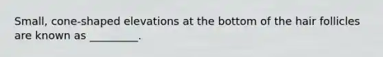 Small, cone-shaped elevations at the bottom of the hair follicles are known as _________.