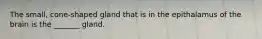 The small, cone-shaped gland that is in the epithalamus of the brain is the _______ gland.