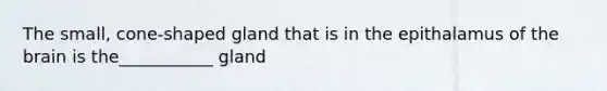 The small, cone-shaped gland that is in the epithalamus of the brain is the___________ gland