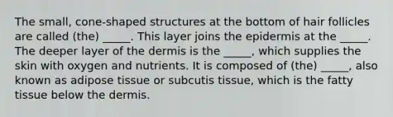 The small, cone-shaped structures at the bottom of hair follicles are called (the) _____. This layer joins the epidermis at the _____. The deeper layer of the dermis is the _____, which supplies the skin with oxygen and nutrients. It is composed of (the) _____, also known as adipose tissue or subcutis tissue, which is the fatty tissue below the dermis.