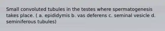 Small convoluted tubules in the testes where spermatogenesis takes place. ( a. epididymis b. vas deferens c. seminal vesicle d. seminiferous tubules)