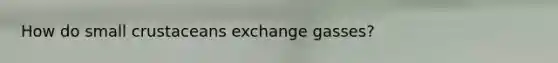 How do small crustaceans exchange gasses?
