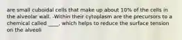 are small cuboidal cells that make up about 10% of the cells in the alveolar wall. -Within their cytoplasm are the precursors to a chemical called ____, which helps to reduce the surface tension on the alveoli