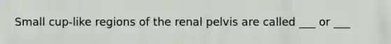 Small cup-like regions of the renal pelvis are called ___ or ___