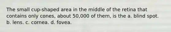 The small cup-shaped area in the middle of the retina that contains only cones, about 50,000 of them, is the a. blind spot. b. lens. c. cornea. d. fovea.