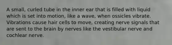 A small, curled tube in the inner ear that is filled with liquid which is set into motion, like a wave, when ossicles vibrate. Vibrations cause hair cells to move, creating nerve signals that are sent to the brain by nerves like the vestibular nerve and cochlear nerve.