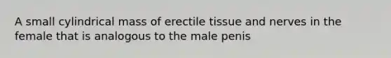 A small cylindrical mass of erectile tissue and nerves in the female that is analogous to the male penis