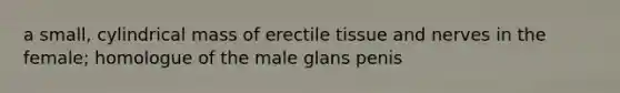 a small, cylindrical mass of erectile tissue and nerves in the female; homologue of the male glans penis