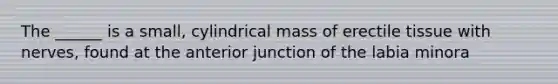 The ______ is a small, cylindrical mass of erectile tissue with nerves, found at the anterior junction of the labia minora