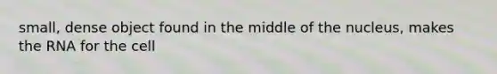 small, dense object found in the middle of the nucleus, makes the RNA for the cell