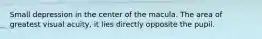 Small depression in the center of the macula. The area of greatest visual acuity, it lies directly opposite the pupil.