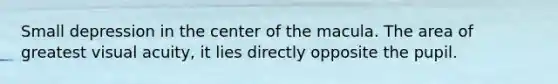 Small depression in the center of the macula. The area of greatest visual acuity, it lies directly opposite the pupil.